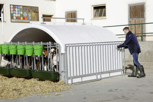 Enclos individuel pour <span class=keywords><strong>veau</strong></span> en fer thermolaqué, hauteur 4 pieds, durable et écologique, pour ferme et élevage <span class=keywords><strong>de</strong></span> bovins et veaux - Product Image 6