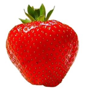 สารเติมแต่งอาหารรสสตรอเบอร์รี่ปริมาณของเหลวและผง0.3 0.5% 99% ได้รับการรับรองฮาลาล - Product Image 2