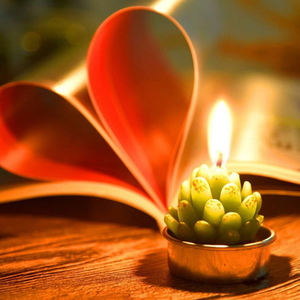 <span class=keywords><strong>Kit</strong></span> de bougies de plantes de Cactus succulentes décoratives, mignonnes bougies sans fumée, parfaites pour le Festival, les accessoires de mariage, la fête à la <span class=keywords><strong>maison</strong></span> - Product Image 5