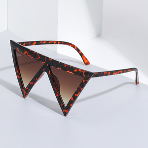 Gafas de Sol Triangulares Invertidas Personalizadas para Mujer, Montura Negra, Protección UV400, Estilo Instagram, Gafas de Sol de Moda para Exteriores - Product Image 2