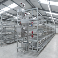 Nouveau système d'élevage avicole de type H haute résistance avec ventilation automatique pour poulets de chair et poules pondeuses, pour poulaillers, Raisetech, galvanisé à chaud