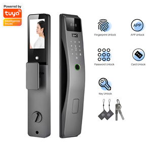 Smart Face Recognition Door <b>Lock</b> With Wi-Fi Cloud Storage Stainless Steel Grade C Security For Steel Door - Product Image 4