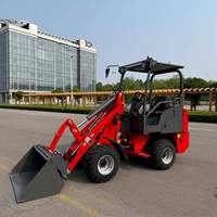 Caricatore Elettrico YGZG con Capacità di Carico 600kg, Controlli Semplici per Rapida Apprendimento e Facile Utilizzo, Caricatore al Litio per Uso Agricolo