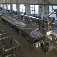 GUSU Nieuwe 400/600mm RVS 304 Chocolade Snack Koeltunnel CE ISO Gecertificeerd