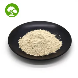 Factory Supply Natural Isoflavone in Bulk Wild 40% Soy Isoflavone