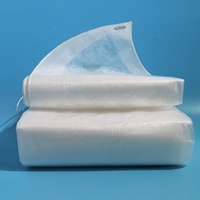 La bâche résistante transparente de fabricant de bâches de PE couvre la bâche imperméable
