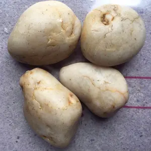 Beach Natural Large Yellow White Highly <strong>Polished</strong> Round <strong>River</strong> Rock <strong>Stones</strong> Non-Toxic Traditional Design for Garden Home Hotel Use - Product Image 1