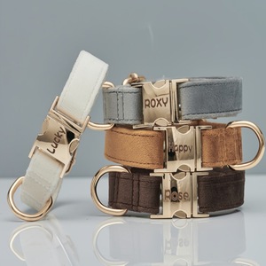 Conjunto de Correa para Perro HOT <span class=keywords><strong>2026</strong></span>, Nuevo Diseño con Letras Bordadas, Hebilla Metálica Dorada, <span class=keywords><strong>Collar</strong></span> de Terciopelo Premium para Mascotas - Product Image 2
