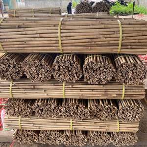 Poteaux en bambou naturel du Vietnam grand tube de poteau en bambou traité pour la décoration intérieure et les projets de jardin du fournisseur - Product Image 2
