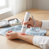Stylo apaisant portable à impulsions infrarouges rechargeable par USB pour les piqûres de moustiques et d'insectes