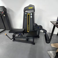 Machine professionnelle de musculation des jambes 2 en 1 pour usage commercial en salle de sport, extension et flexion des jambes