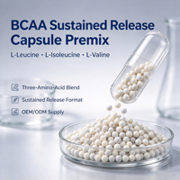 BCAA à libération prolongée en capsules, granulés de qualité, mélange SR de L-Leucine, L-Isoleucine, L-Valine pour la fabrication de compléments alimentaires