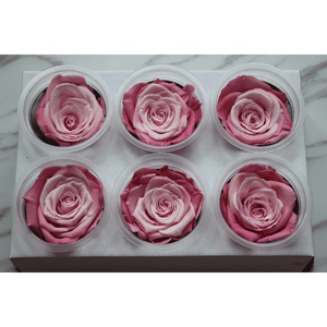 Fornitura diretta in fabbrica di Rose arcobaleno conservate Boutique di grado 5-6cm di Rose fresche belle piante di fiori conservati utilizzo della parete - Product Image 4