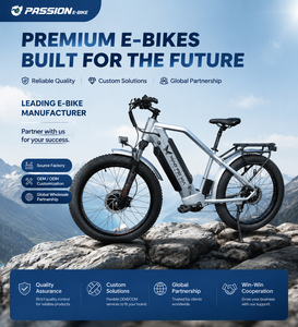 Bicicleta Eléctrica de Doble Motor con Autonomía de 100 km, Velocidad Máxima de 80 km/h, Batería de Litio de 30ah y Cuadro de Aluminio - Product Image 3
