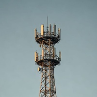 Tour de télécommunications autoportante Tongyong galvanisée à chaud avec antenne WiFi sans fil