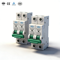 HANDELE HDSCB-II40 2P 40kA Interruttore Differenziale con Protezione da Sovratensioni 230V/400V SPD con Certificazione CE