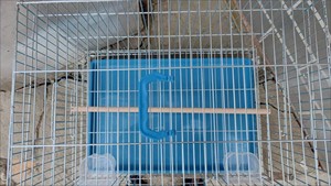 Limited-time Discount See What You Get Galvanized Bird Breeding Cage with <b>Plastic</b> Tray and Complete Set of Accessories - Product Image 6