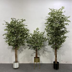 Bonsái Artificial de Plástico, Árbol de Banyan de Alta Calidad, Simulación de Árbol Verde en Maceta para Interiores, Sala de Estar, Jardín - Product Image 4