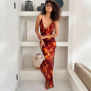 Robe longue dos nu à imprimé léopard de style européen et américain pour femmes, tenue de soirée décontractée - Product Image 2