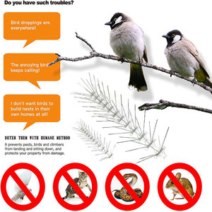 L'uccello a 5 file picchia gli uccelli si appollaiano, fermandosi a nidificare o rimanere a lungo sui balconi - Product Image 4