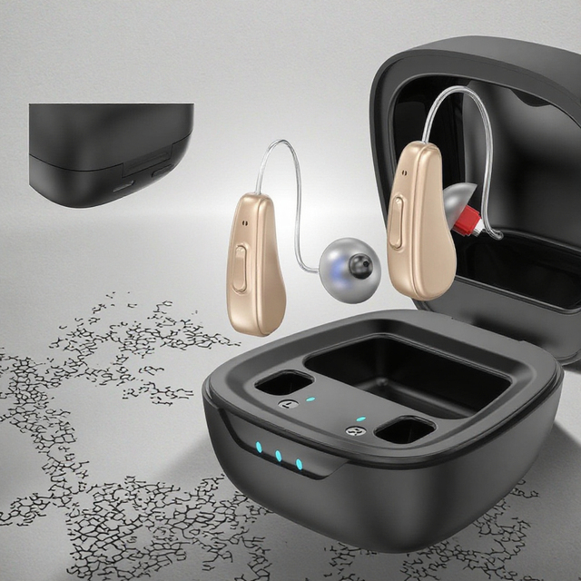 ODM OEM BlueDeer BD-B102 Digital Programmable Rechargeable Class II Hearing Aids with 16 Channels for Seniors 2-Year Warranty