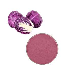 Grosir penjualan terbesar 100% bubuk jus kubis ungu murni - Product Image 1