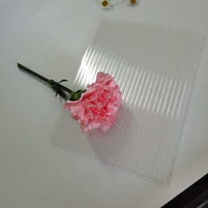 XINHAI Hoja de <span class=keywords><strong>Policarbonato</strong></span> Hueco de Doble Pared con Protección UV Transparente, Color y Longitud, <span class=keywords><strong>4mm</strong></span>, 6mm, 8mm, 10mm - Product Image 5