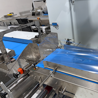 Veelzijdige horizontale kussenverpakkingsmachine met elektrische/servomotor, hoge productiviteit, food grade, automatische PE-bubbelverpakking
