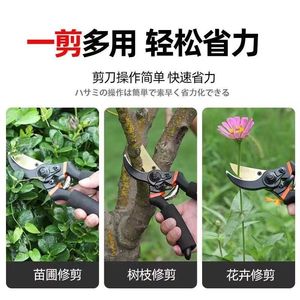 Sécateur bypass en acier inoxydable 20-30 mm avec poignée en caoutchouc pour la taille des arbres fruitiers - Product Image 5