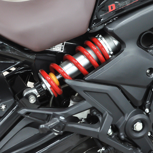 Fabrikpreis Offroad-<span class=keywords><strong>Chopper</strong></span>-Motorrad mit 350 ccm oder 450 ccm Hubraum und Benzinmotor für Erwachsene - Product Image 6