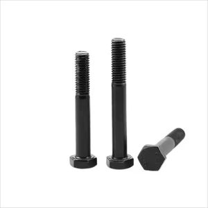 Perno hexagonal de media rosca <span class=keywords><strong>CS</strong></span> <span class=keywords><strong>M8</strong></span> M10 M12 M16 M20 de óxido negro al por mayor de alta calidad - Product Image 5