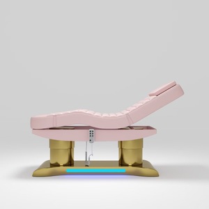 Lit électrique moderne de <span class=keywords><strong>spa</strong></span> facial réglable et pliable Meubles en cuir PU pour salle de sport, hôtel pour le massage des cils Autres caractéristiques - Product Image 1