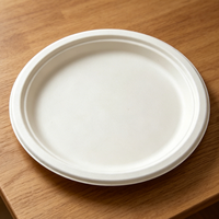 Assiettes rondes en canne à sucre de 10,2 pouces, zéro déchet, compostables, sans bois, fabriquées à partir de bagasse, parfaites pour les consommateurs soucieux de l'environnement