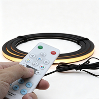 Bande lumineuse LED néon en silicone noir à longueur personnalisable, télécommande intelligente, intensité réglable, installation encastrée, diode LED pour panneau mural