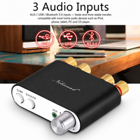 Amplificateur numérique 100W HiFi Mini TPA3116 BT 2.0 récepteur audio stéréo avec USB DAC amplificateur de son TV linéaire