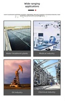 Transmetteur de température industriel Pt100 avec sortie 4-20 mA pour liquides et gaz, disponible en version OEM