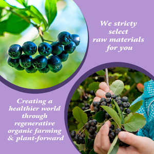 OEM ODM hữu cơ có thể uống được Konjac Jelly bán buôn Halal sức khỏe chất béo thấp đồ ăn nhẹ số lượng lớn hỗn hợp trái cây Hương vị Konjac Jelly Pudding - Product Image 5