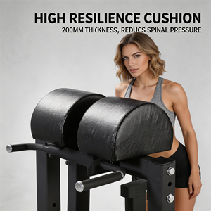 Chaise Romaine Multifonctionnelle Réglable pour Sit-up, Appareil d'Entraînement Musculaire Abdominal, Dispositif d'Assistance de Gymnastique, Cadre Métallique Pliable - Product Image 3