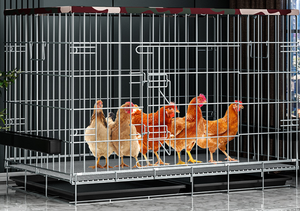 Güzel lüks <span class=keywords><strong>Pet</strong></span> ve küçük evcil gümüş tavuk ve ördek kafesleri boyut ve renk olarak özelleştirilebilir katı desen kutusu paketlenmiş - Product Image 6