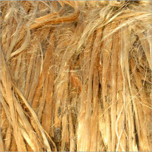 Meilleure qualité d'approvisionnement direct d'usine de fibre de jute écologique du Bangladesh Nouveau produit par le fabricant de jute brut - Product Image 3