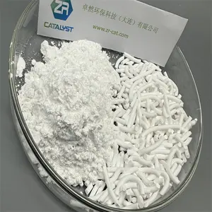 Hbeta Catalyst High Quality Nano Powder H-beta Zeolite SEM