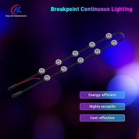 Sumber Cahaya Titik LED RGB DMX512 20mm Warna Penuh DC12V Tahan Air untuk Dekorasi Bangunan dan Taman