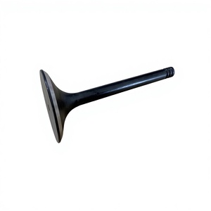Nueva Válvula de Motocicleta de Acero Inoxidable Road Passion para <span class=keywords><strong>Djebel</strong></span> 250 DR250 DR-Z250 para KLX250 KLX300 BR250 Z250SL - Product Image 2
