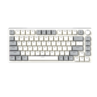 Russian 82 Keys ABS Keycap Hot Swap N-keys Rollover Gasket Wired Rainbow Backlit Gaming Mechanical Keyboard for Office Writing