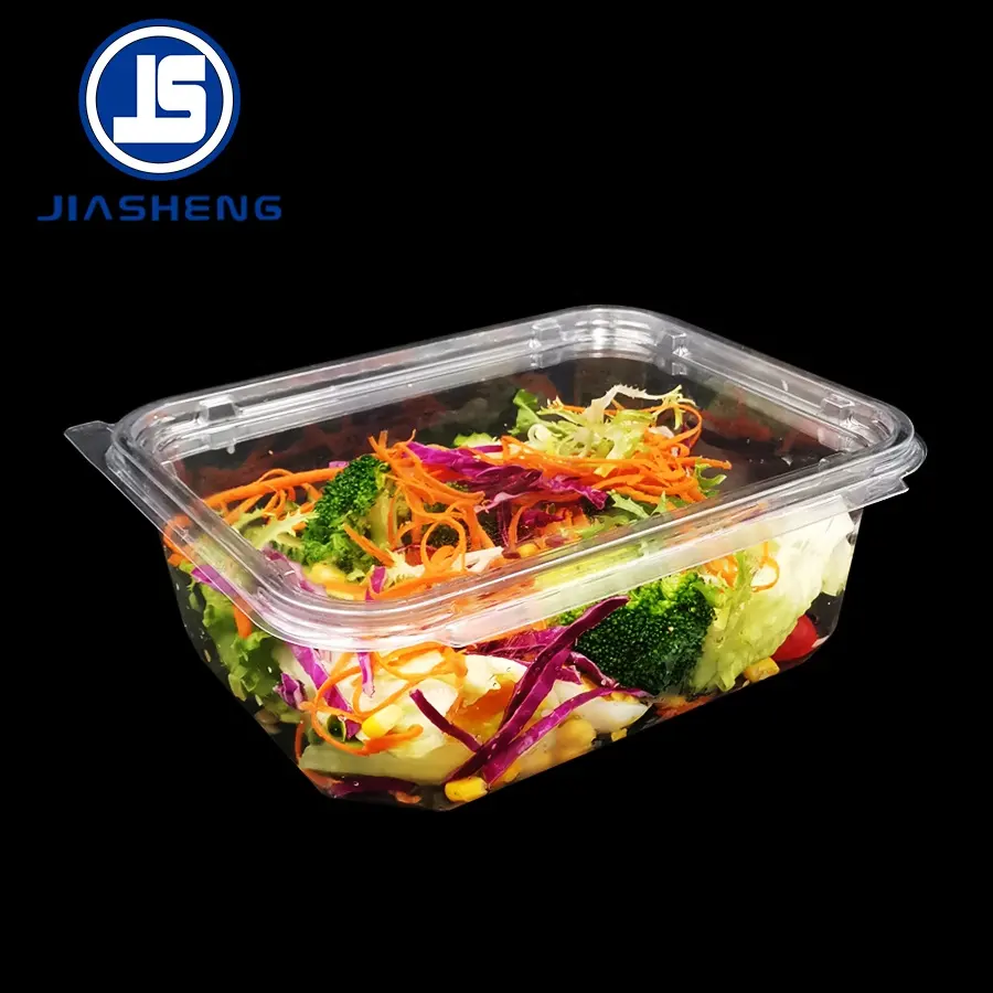 Conteneurs de salade jetables en plastique Transparent à emporter