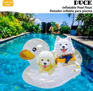 Flotador Inflable Transparente de PVC para Mascotas, Piscina para Patos, 90x50x25cm - Product Image 6