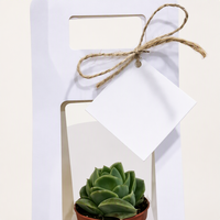 Cajas de Flores con Logotipo Personalizado para Ramos, Caja de Flores de Cartón Ecológica para Regalos de Boda