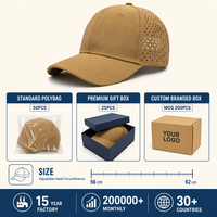 Casquette de baseball perforée découpée au laser respirante à six panneaux avec visière incurvée réglable 56-62cm Logo personnalisé Vente en gros OEM Faible MOQ