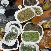 Thé vert au jasmin de Chine en vrac de haute qualité, emballage en boîte, prix d'usine, meilleur thé pour la santé - Offre Spéciale