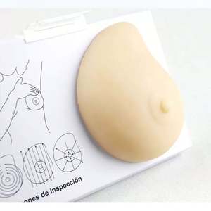 Modelo de Mama em Silicone 3D KyrenMed, Manequins para Exame de Mama com Modelos de Nódulos Patológicos para Autoexame - Product Image 2